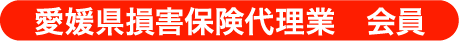 愛媛県損害保険代理業　会員